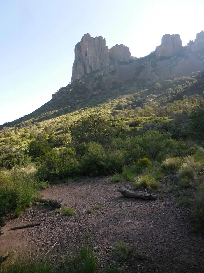 Juniper Flat 2