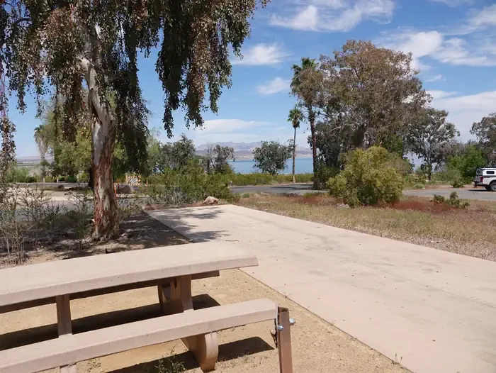 Site 42