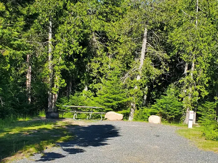 A09