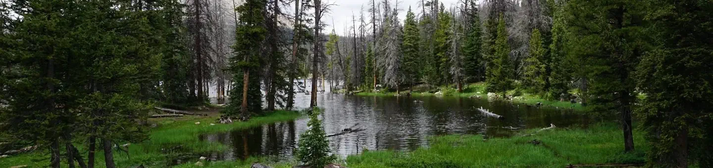 Trial Lake Campground