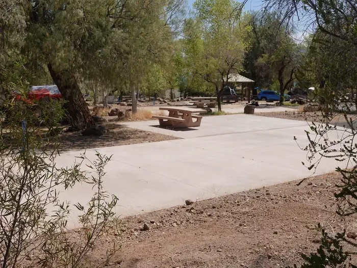 Site 117