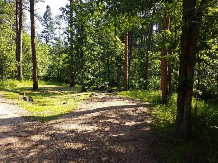 Grizzly Bear Campground