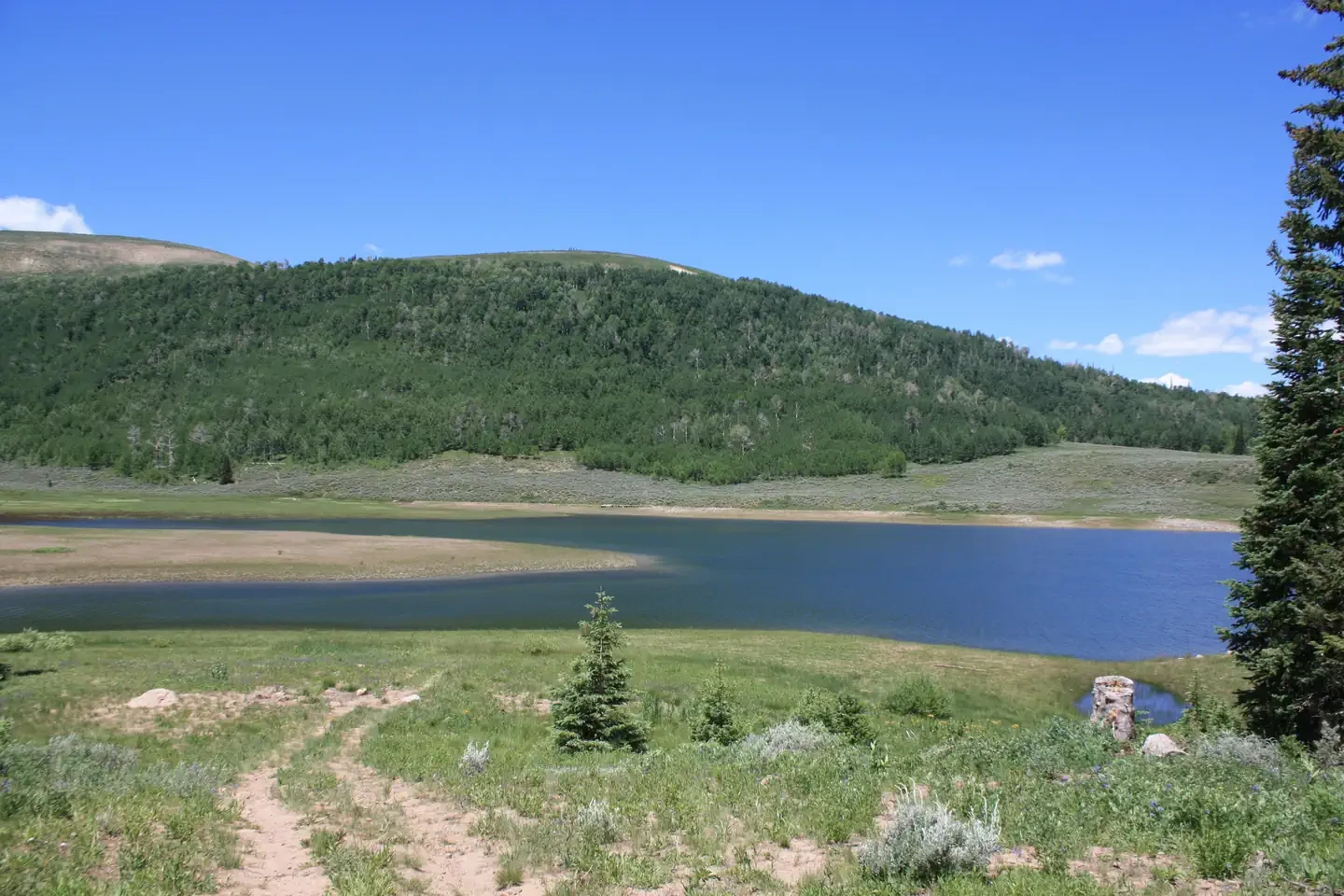 Lake Canyon Rec Area