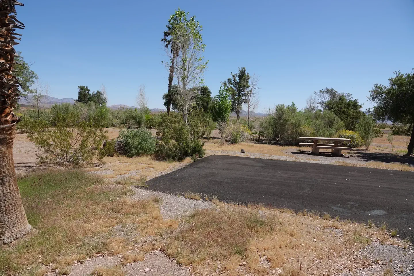 Site 6