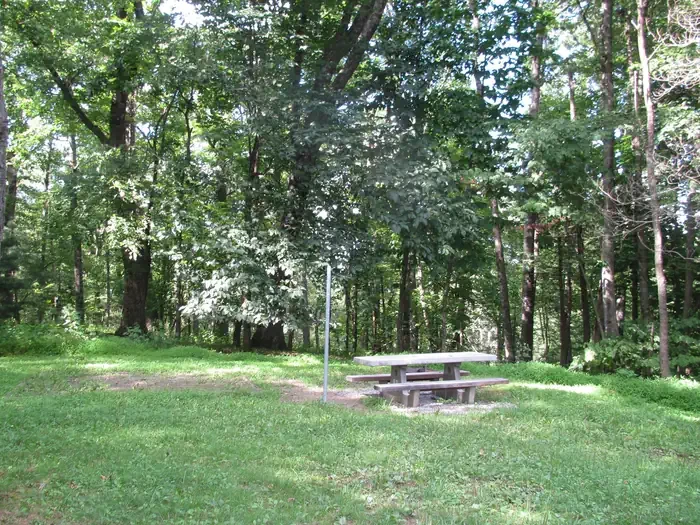 Group Site 2