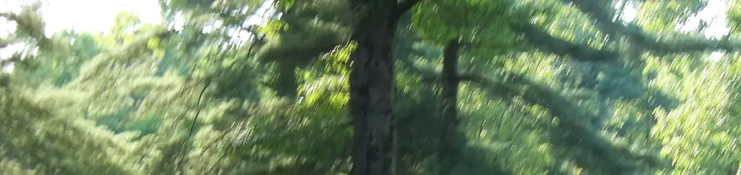 H29