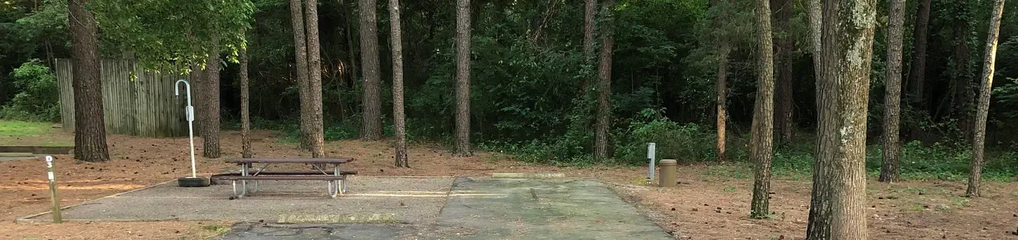 D03
