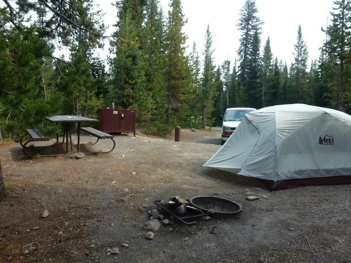 Lewis Lake site #21