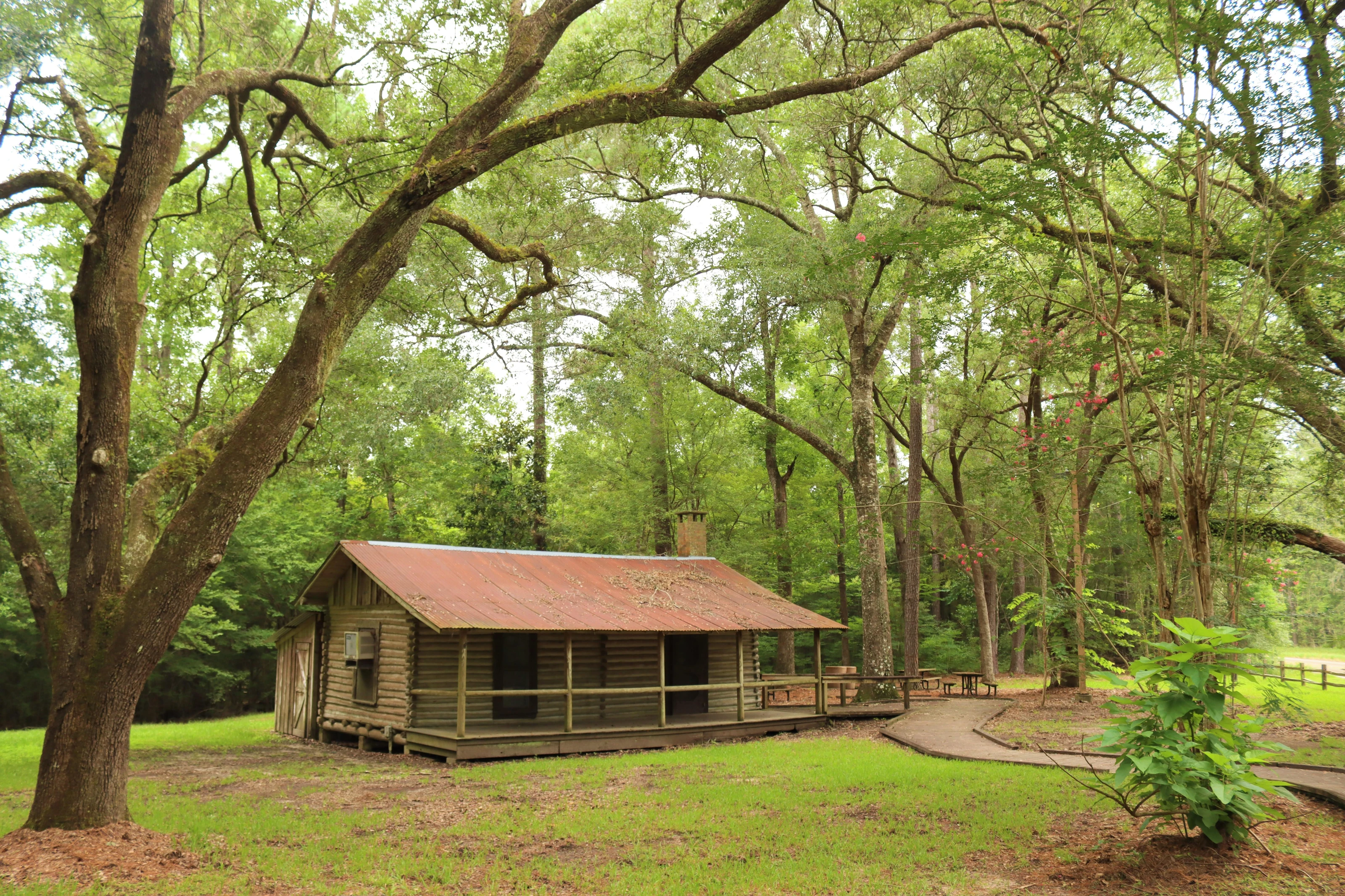Big Thicket National Preserve