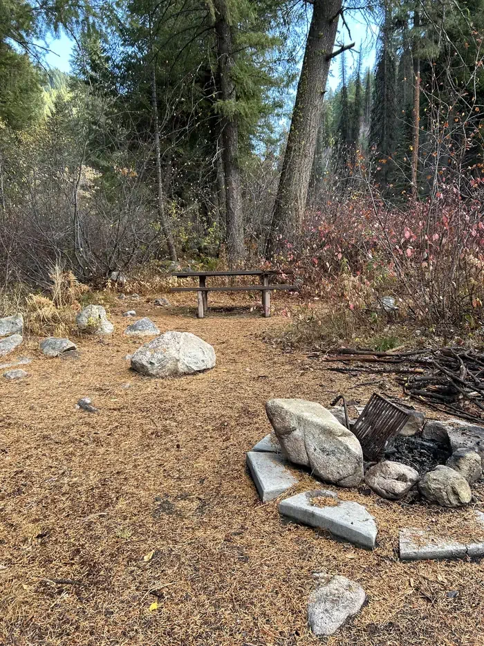 Hayfork Group Cg
