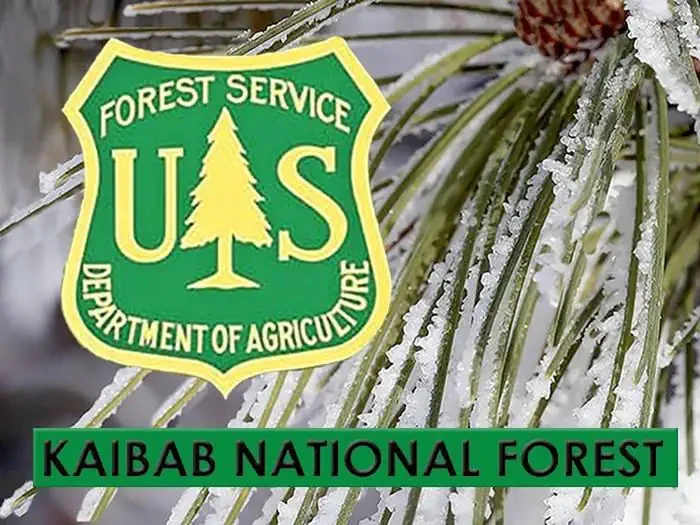 Kaibab National Forest Christmas Tree Permit