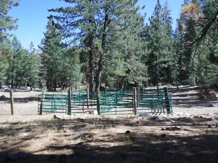 Packsaddle