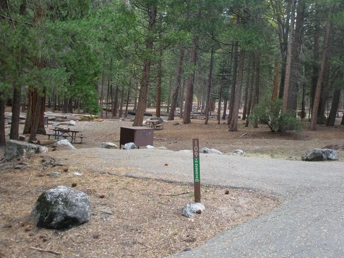 Site: 109