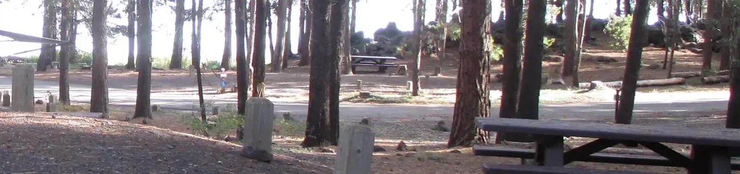 121