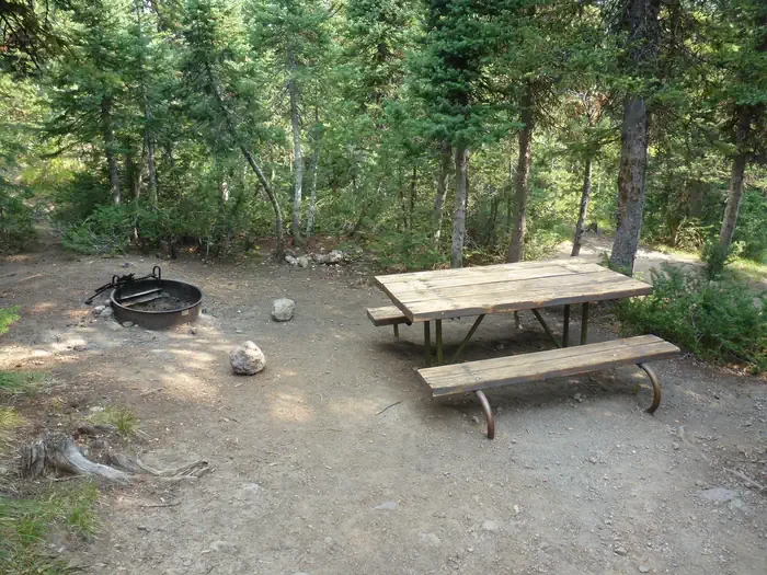 Lewis Lake site #74