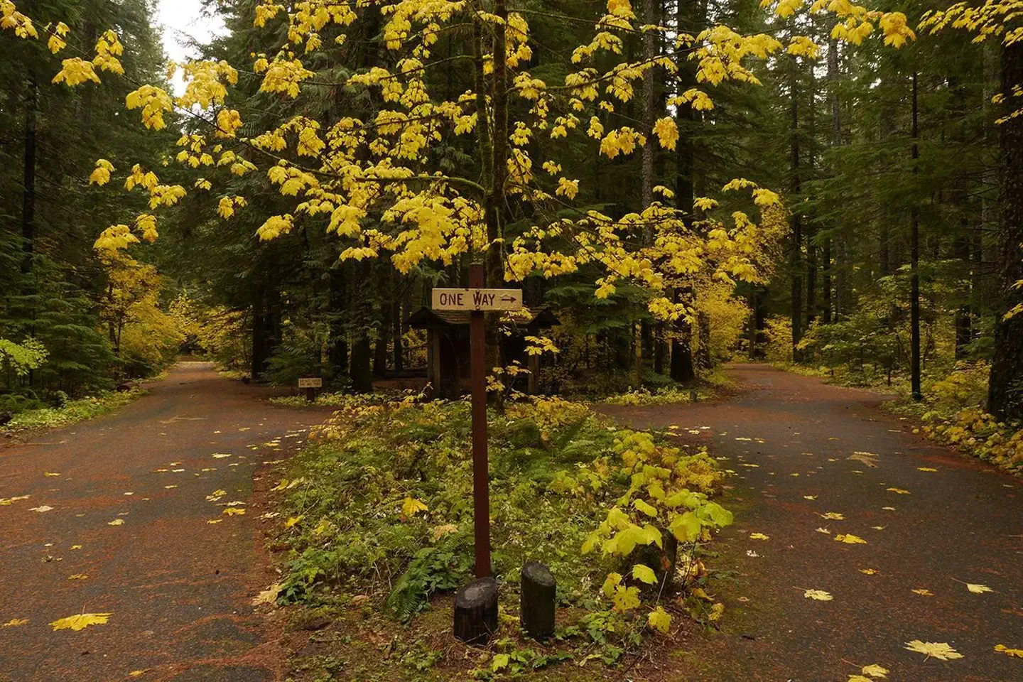 Paradise Creek campground