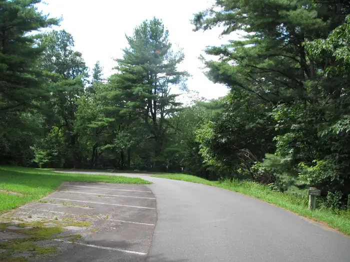 Group Site 1