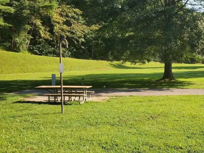 050