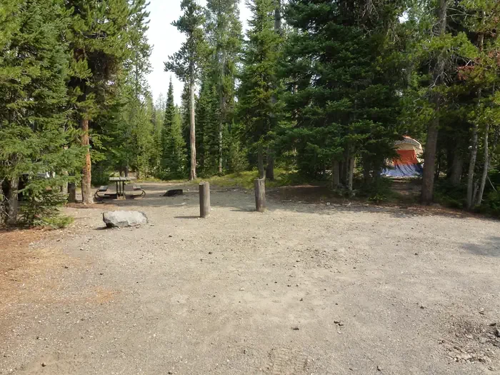 Lewis Lake site #60