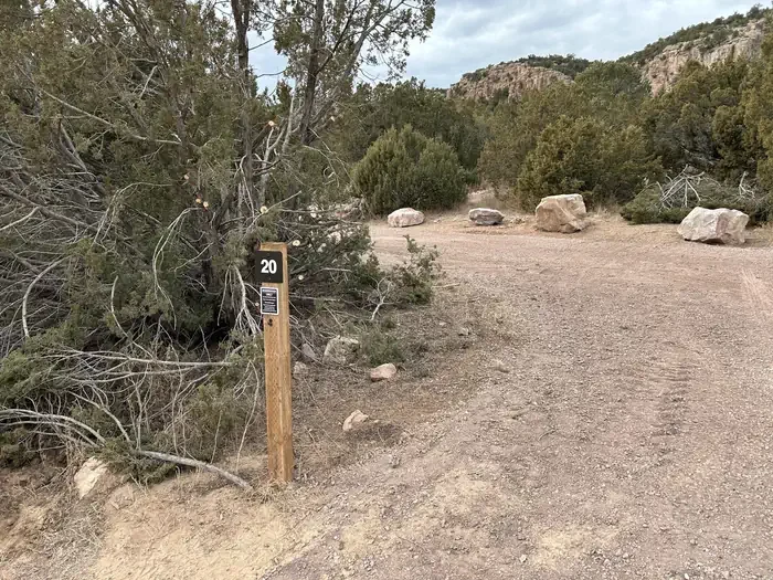 20