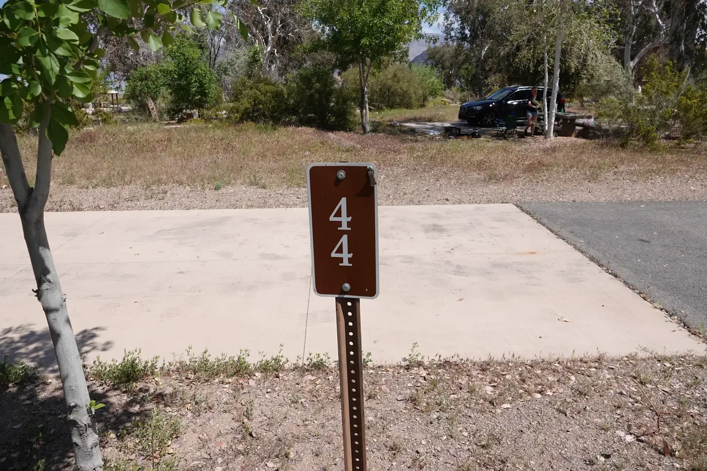 Site 44