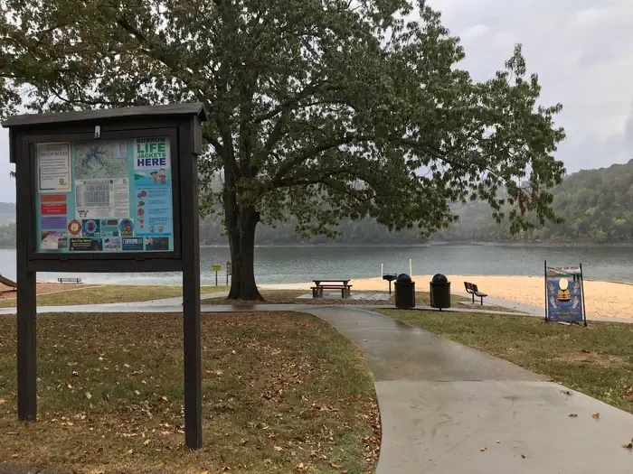 L1-Large Picnic Shelter