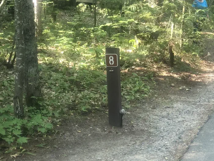 08