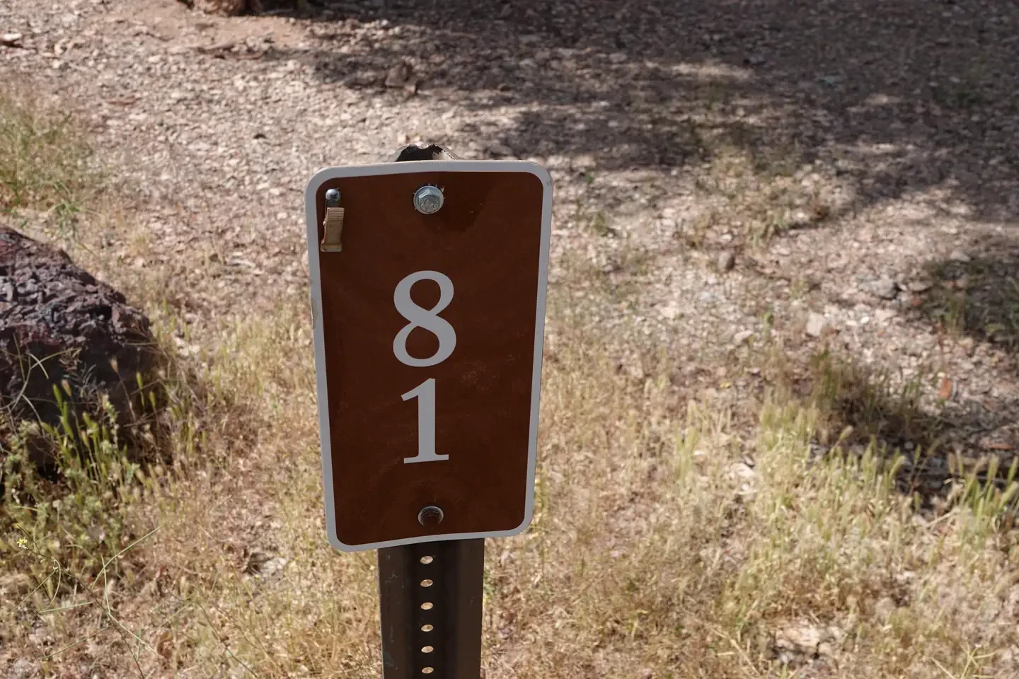 Site 81