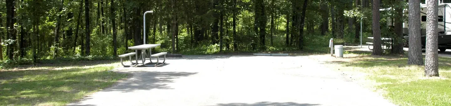 N22