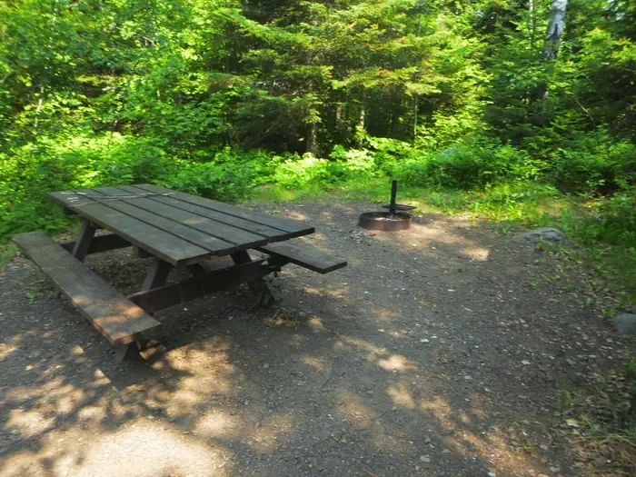 Jack Pine Cabin