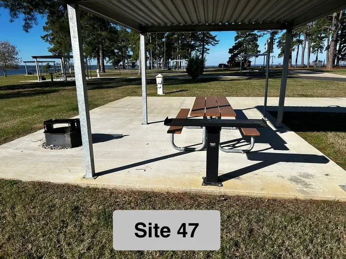 47