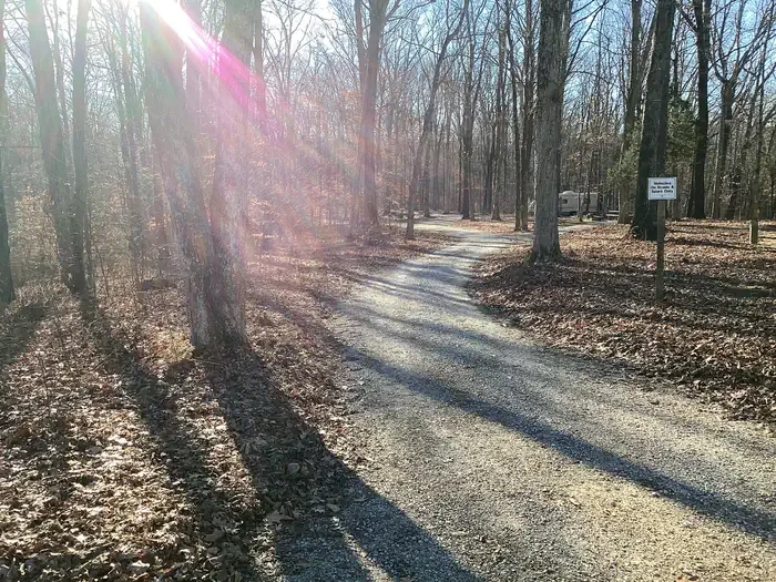 Youngs Creek Campground