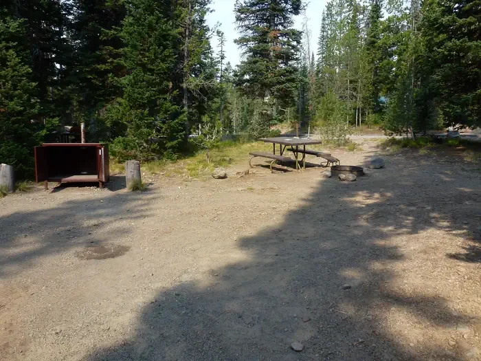 Lewis Lake site #64