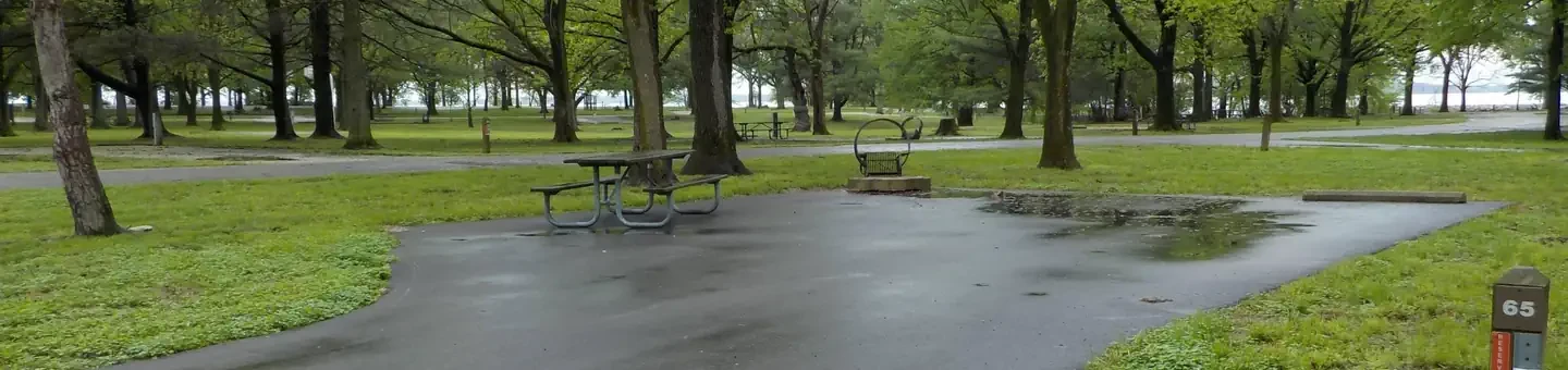 065