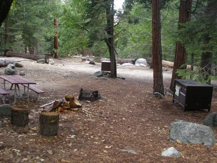 Site: 46