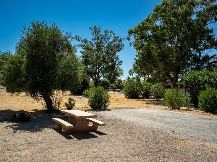 Site 54