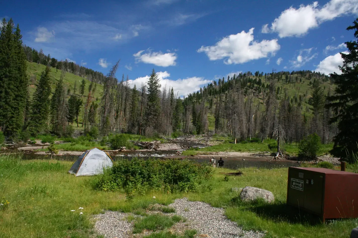 Slough Creek site #6