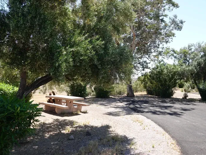 Site 21