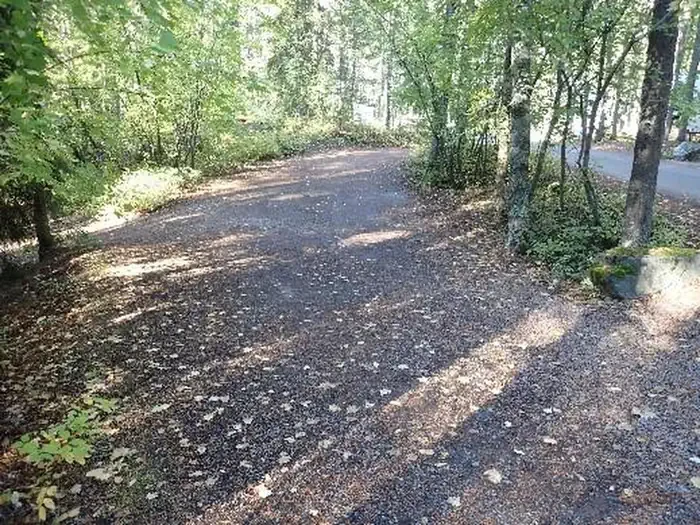 A55