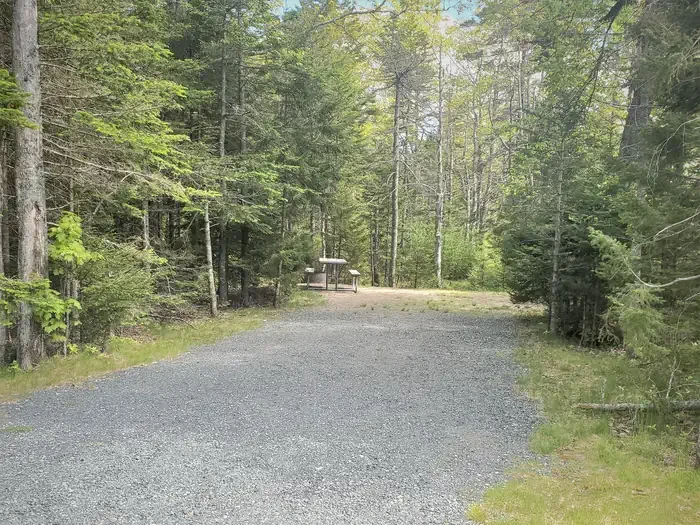 A32