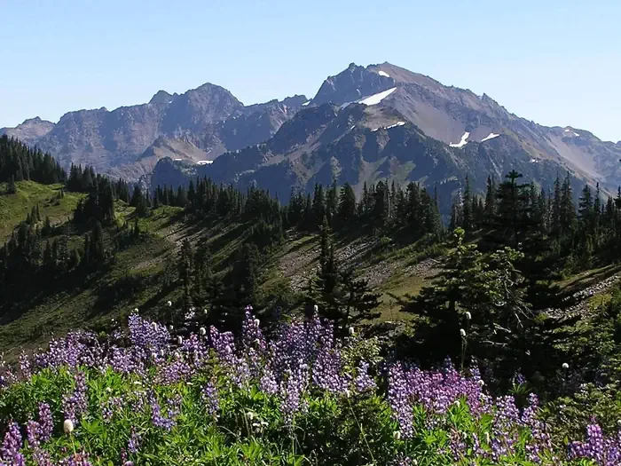 Olympic National Park Wilderness Permit