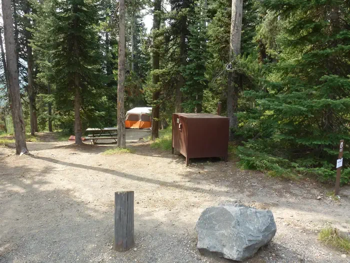 Lewis Lake site #49