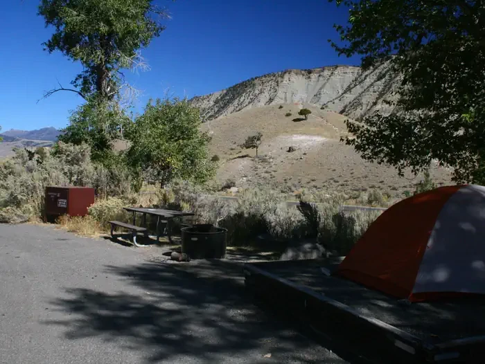 Mammoth site #4