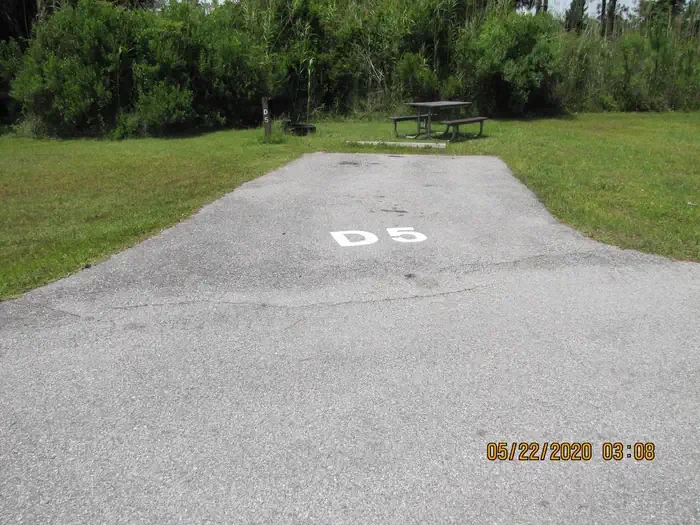 D005