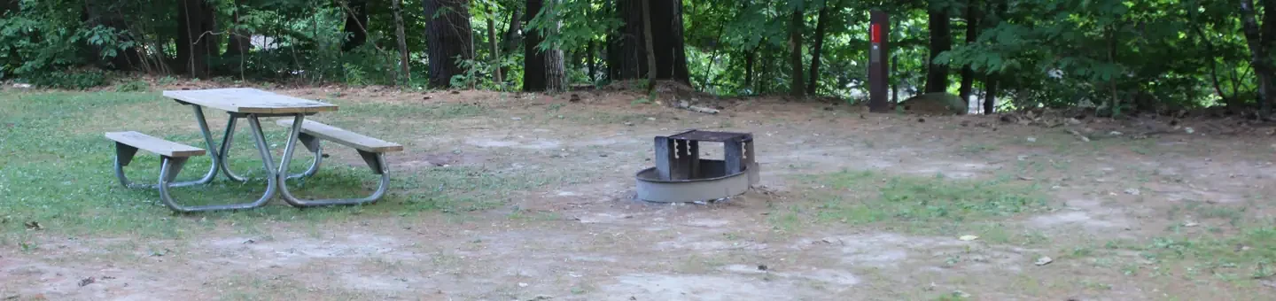 N11