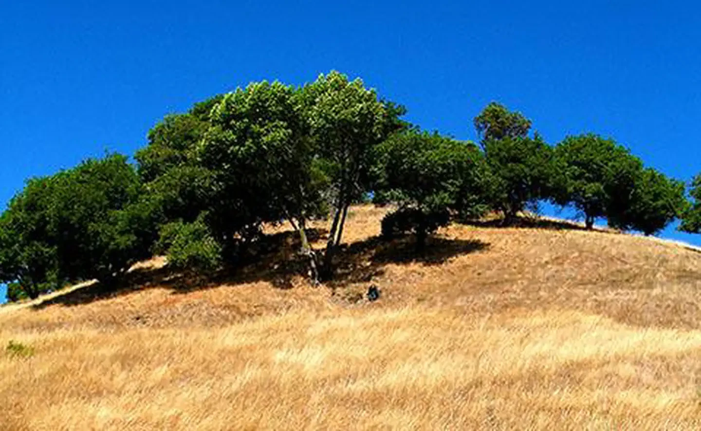 San Francisco Bay National Estuarine Research Reserve