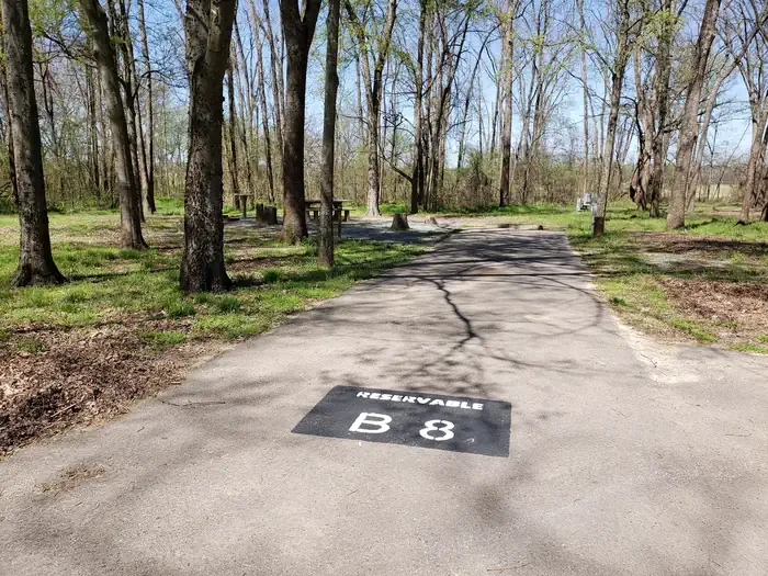 B8