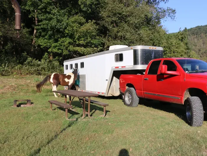 38 - Horse Site
