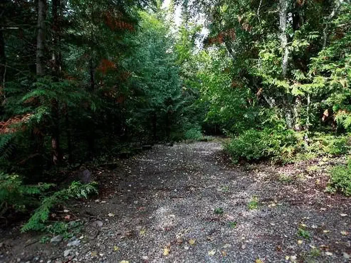 A46