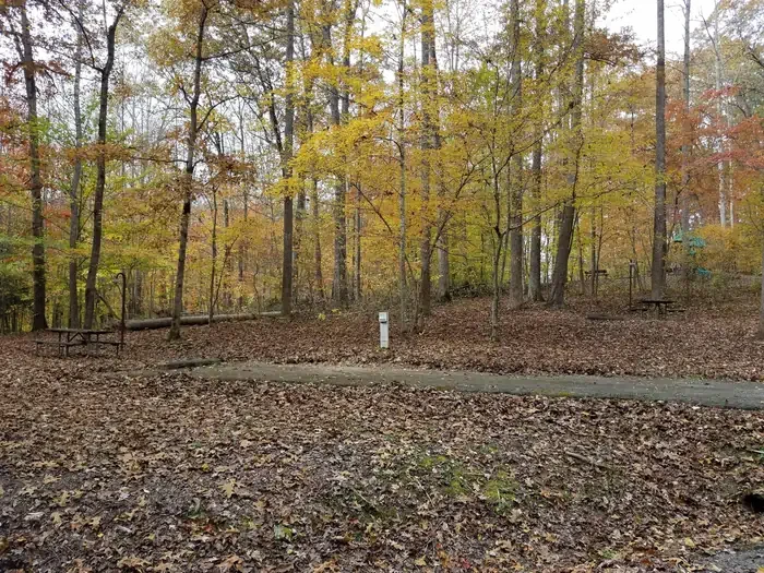 B08